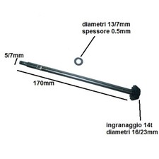 ALBERO CON INGRANAGGIO