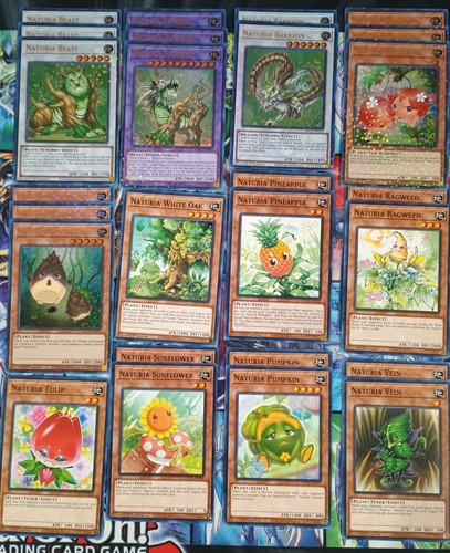 Naturia deck core - yu-gi-oh!,