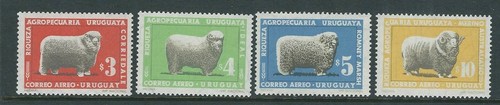 Uruguay 1967 allevamento - uruguay,