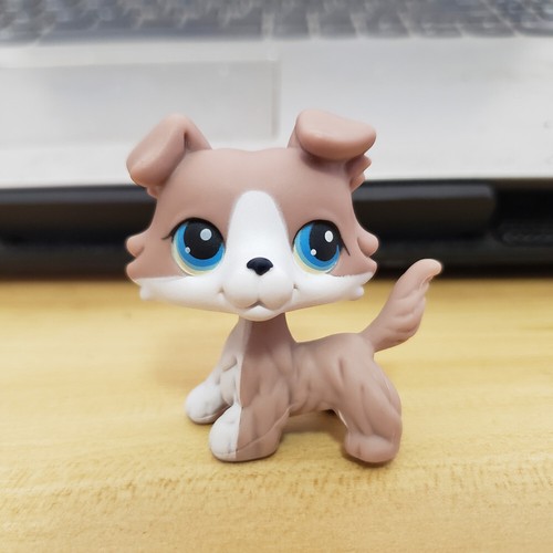 Mini pet lps - mini,