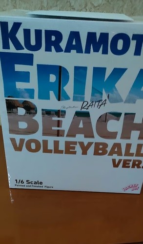 Erika kuramoto beach volley