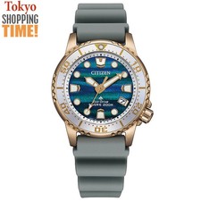 Orologio Citizen Promaster