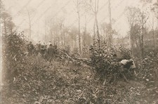 Trasporto con trattrice