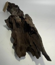 31" raro legno massello cavo