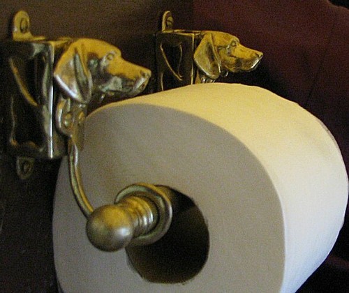 Puntatore tedesco pelo - puntatore,
