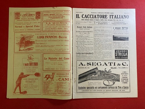 Cacciatore italiano - cacciatore,