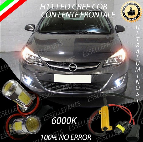 Coppia lampade fendinebbia h11 - lampade,