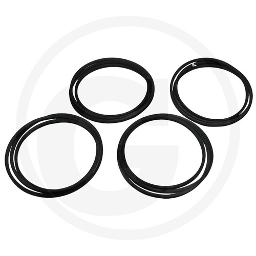 Set cinghia 57701141341f per - set,