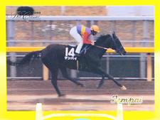 Tempai/Purosangue Horse Racing Card Vintage TCG BANDAI Giapponese #28
