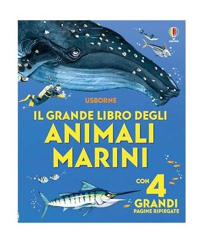 Grande libro degli - il,