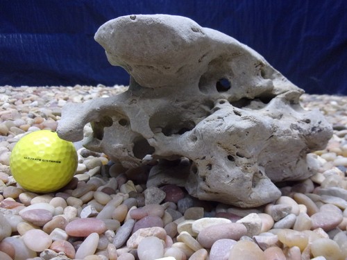 Texas holey rock - 04#,
