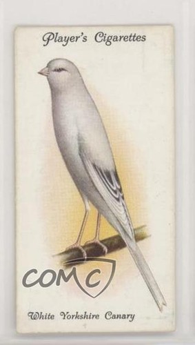 1933 giocatore aviaria - aviaria, e