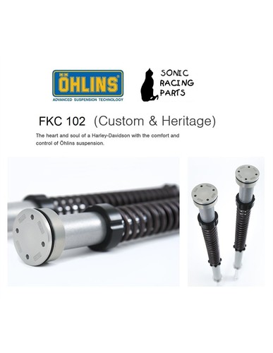 Fkc 102 cartuccia ohlins nix - ohlins,