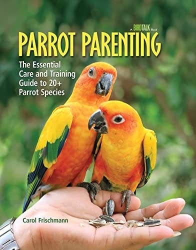 Parrot parenting the - parrot,
