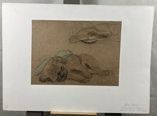Dettagli Del Disegno Per Un