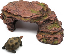 Rettile Grotta Piattaforma