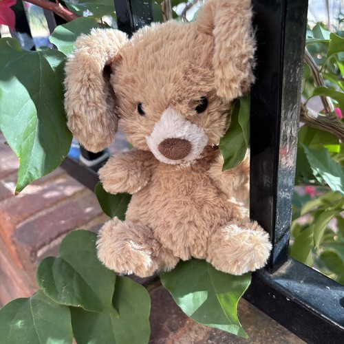 Jellycat cucciolo gustoso - jellycat,