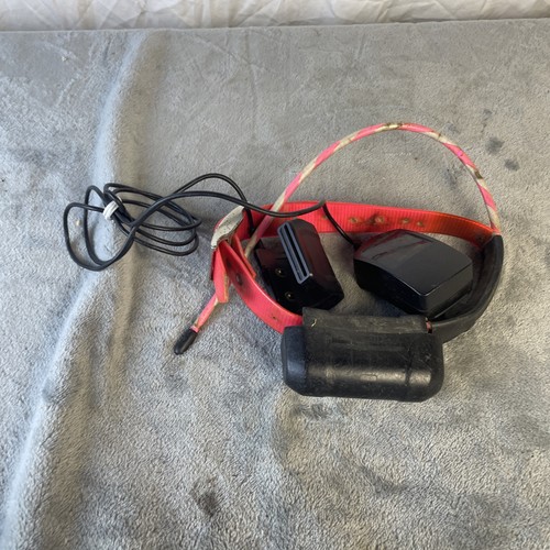 Garmin dc40 collare - garmin,