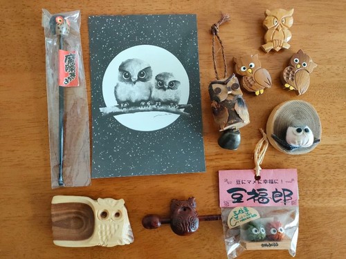 Accessori per oggetti gufi
