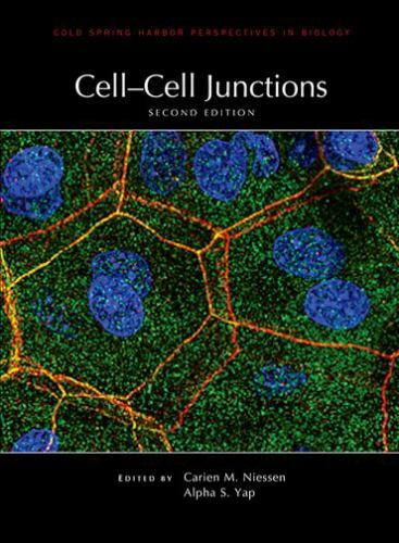 Cell junctions - cell-cell,