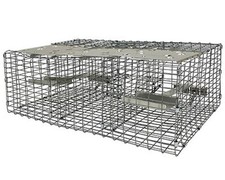 Troyer's Birds' Paradise