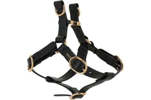 Gucci imbracatura per animali