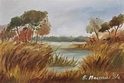 Laguna orbetello dipinto - laguna,