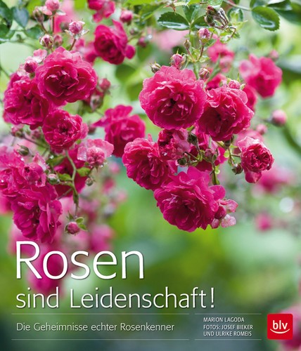 Rose sono passione i - passione!:,