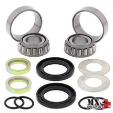 KIT CUSCINETTI FORCELLONE