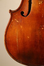 Violino