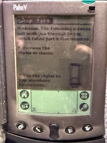 Palm model com - 3,