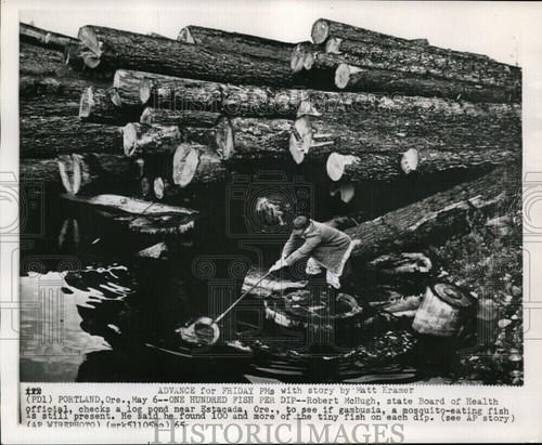 1965 robert mchugh board - mchugh,