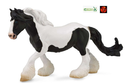 Gypsy vanner mare black - gypsy, +