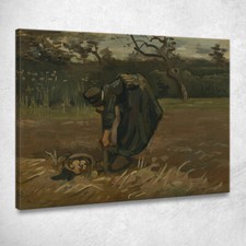 Contadina Che Scava Patate