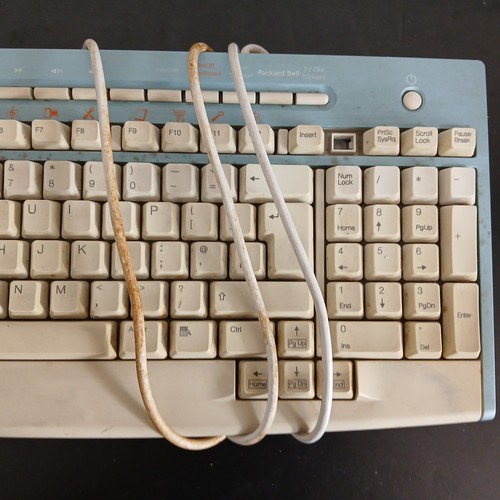 Packard bell tastiera - bell, blu