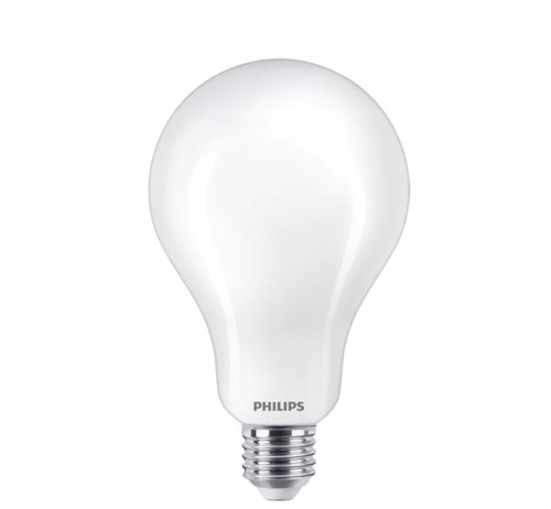 Lampadina led a95 philips - lampadina,