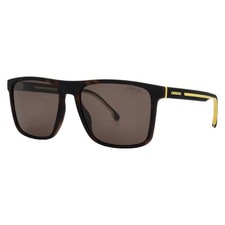 Carrera Brown Sport Men's