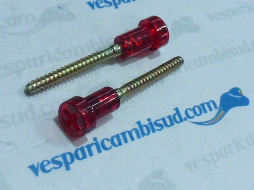 Coppia vite fanale posteriore - vite,