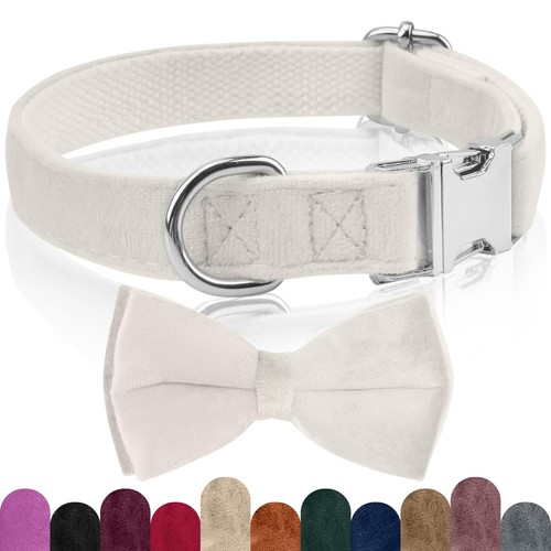 Ktwsuef collare cane papillon - collare,
