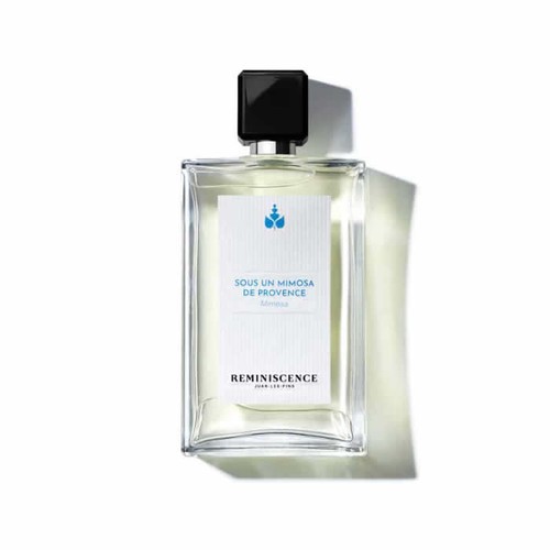 Reminiscence sous mimosa de - reminiscence,