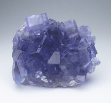 Gruppo cristalli di fluorite