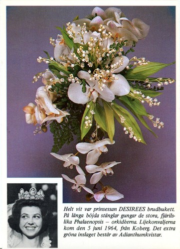 Originale cartolina - ~~~,