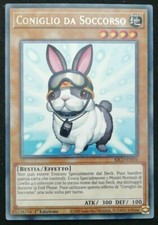 CONIGLIO DA SOCCORSO Rara in