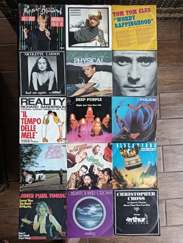 Lotto dischi vinile - in,