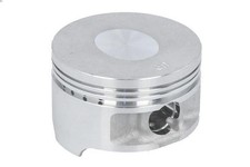 Pistone PARSUN F20-05020001
