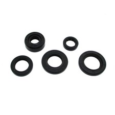 Ensemble De Joint D'huile Pour YX 140cc Dirt Pitmotard Mini Cross Bike Pitster