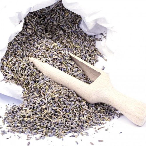 Lavanda fiori sgranati - fiori,