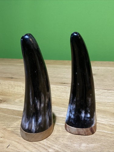 Corno toro lucido sale - di,