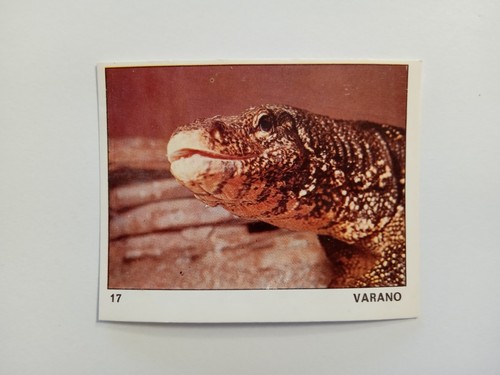 Figurina mondo degli - il,