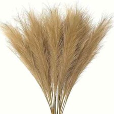 erba finta pampa artificiale